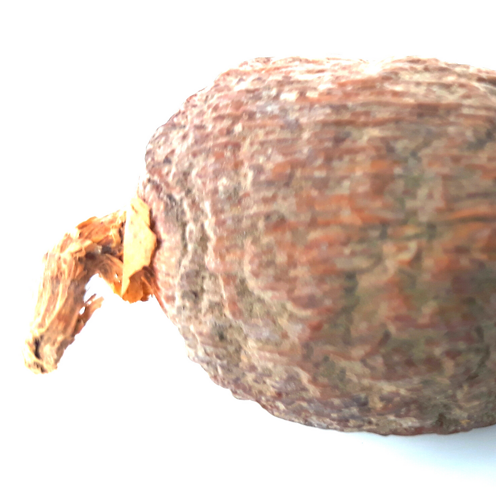 Miniatura: A fava de Atare Elemento de oferenda: muito usada em assentamentos e oferendas para Exu, Ogum e Xangô, representando poder