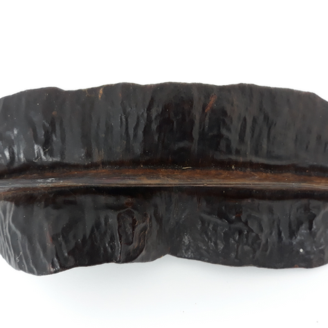 A fava de Aridan é um fruto sagrado de muito fundamento dentro da ritualística afro-brasileira, pois é um elemento de encantamento.