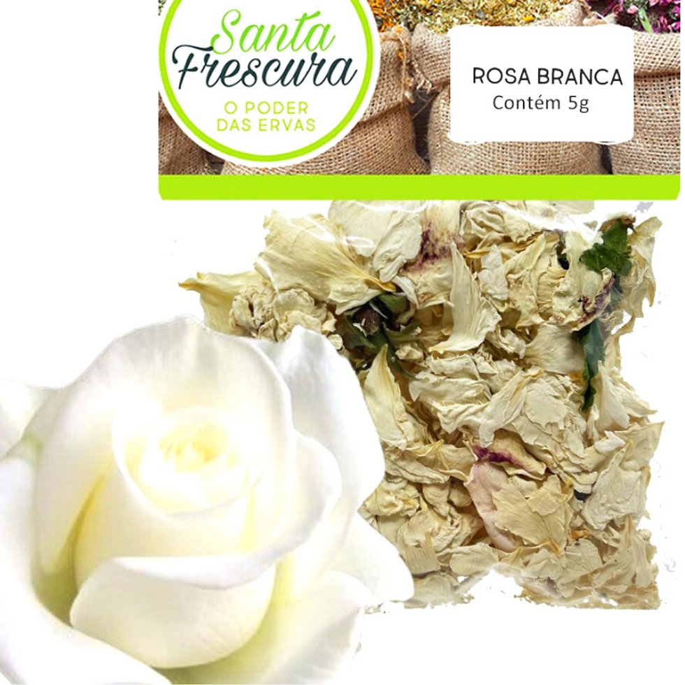 Banho Espiritual de Rosa Branca - Purificação Paz e Proteção