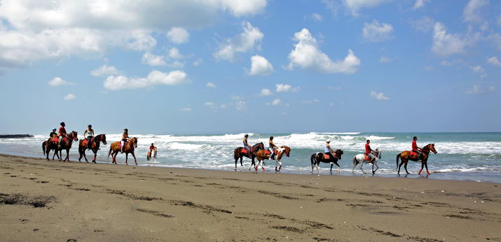 Bali Horse Riding Bali Radha Yoga Tour