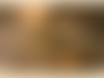 Lizards and alligators in Florida