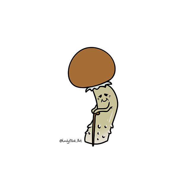 fiverr_smanthey_mazatapec_mushroom_character