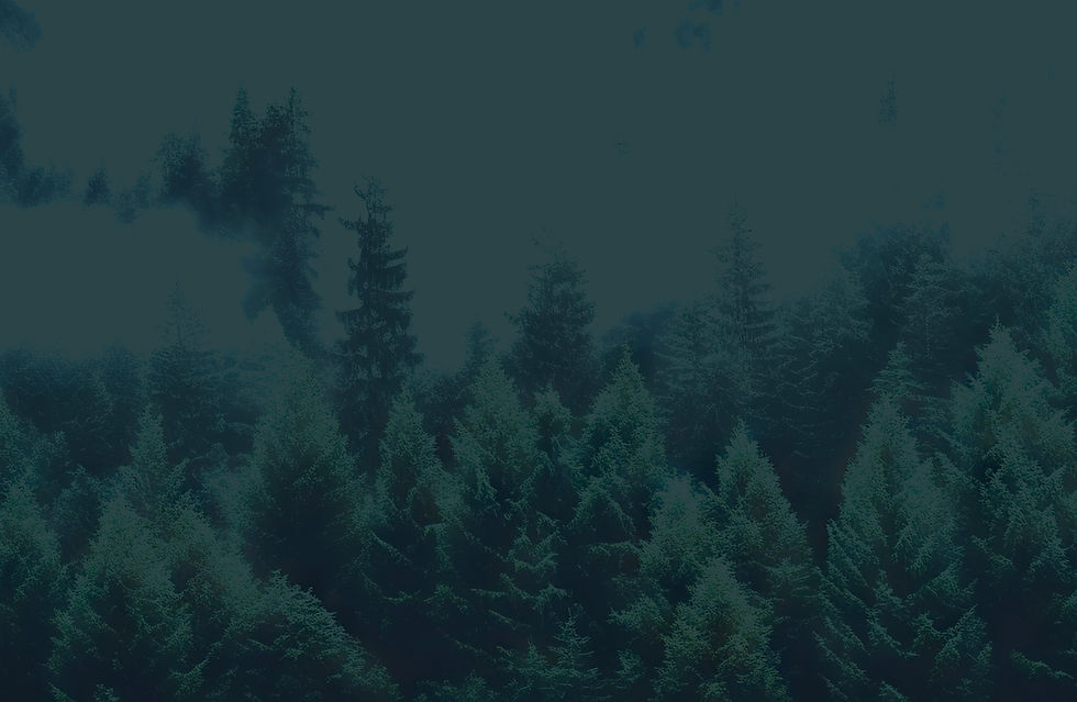 RD_Home Page_Green Background.jpg