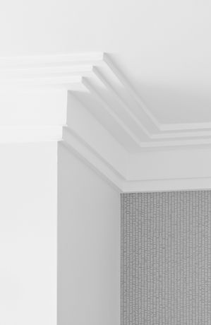 Ceiling Cornice _edited.jpg