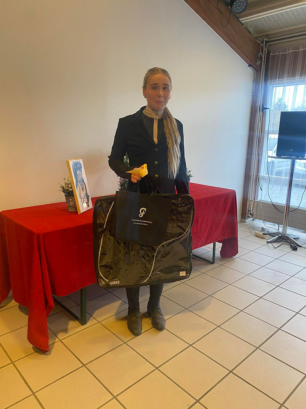 Reiðmennskuverðlaun 2026