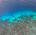 Person swimming in blue see