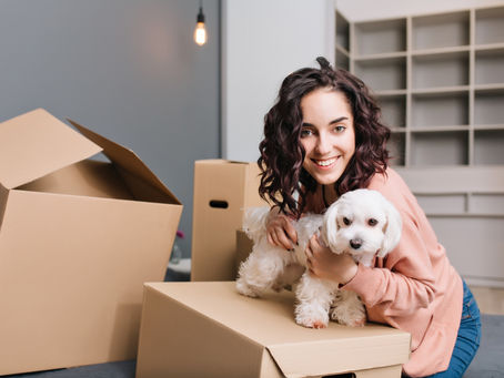 Moving with Dogs That Get Anxious in New Environments