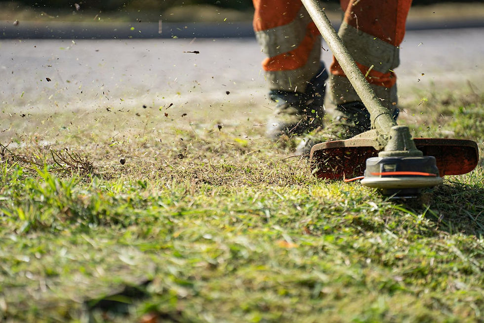 How Fall Seasonal Businesses Use On-Demand Weed Removal