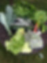 Veggies csa.jpg