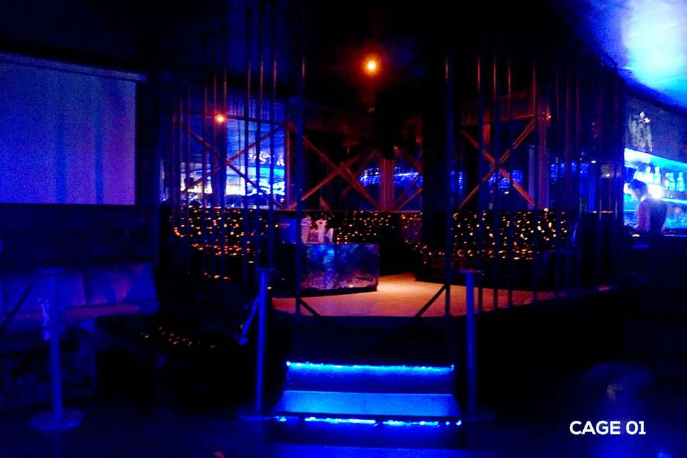 cage 01