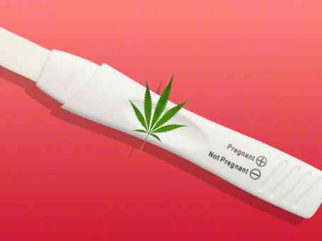 Is It Safe for Pregnant Women to Use Marijuana?