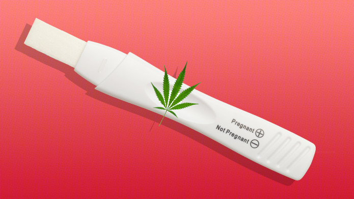 Marijuana and pregnancy