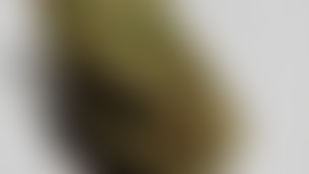 Top Cannabis Strains of 2020