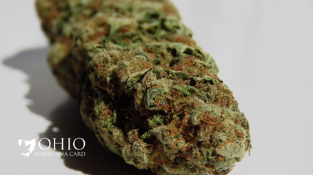 Top Cannabis Strains of 2020