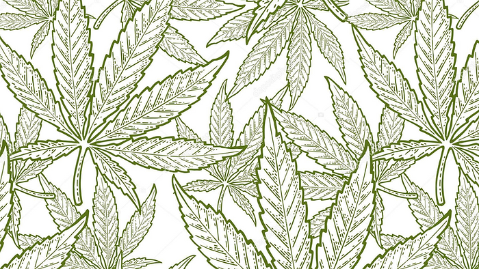 Untitled design (5).png