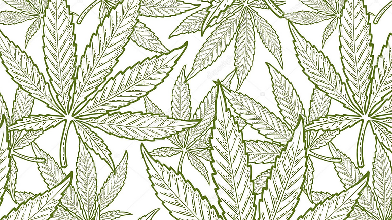 Untitled design (5).png