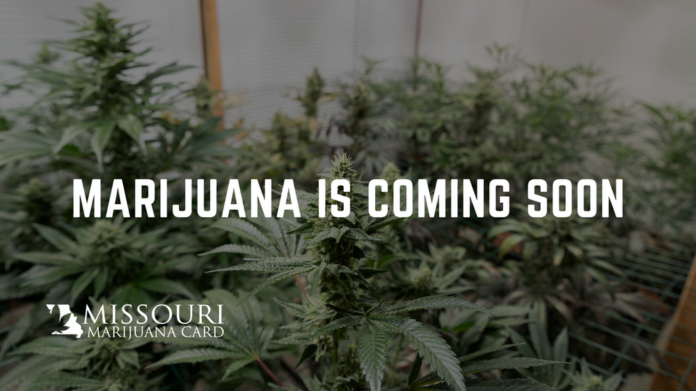 Missouri Dispensaries Anticipate Opening Date and New Marijuana