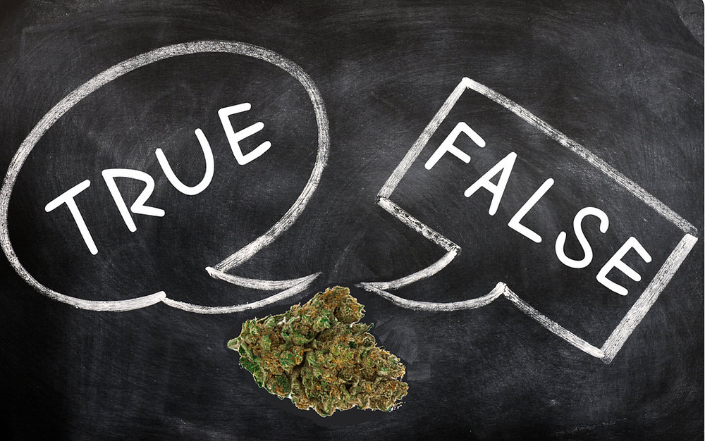 True or False? 10 Questions to Test Your Cannabis Knowledge