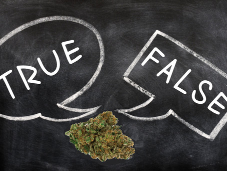 True or False? 10 Questions to Test Your Cannabis Knowledge