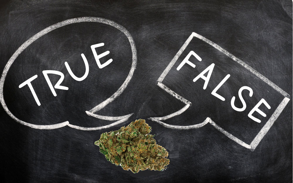 True or False? 10 Questions to Test Your Cannabis Knowledge