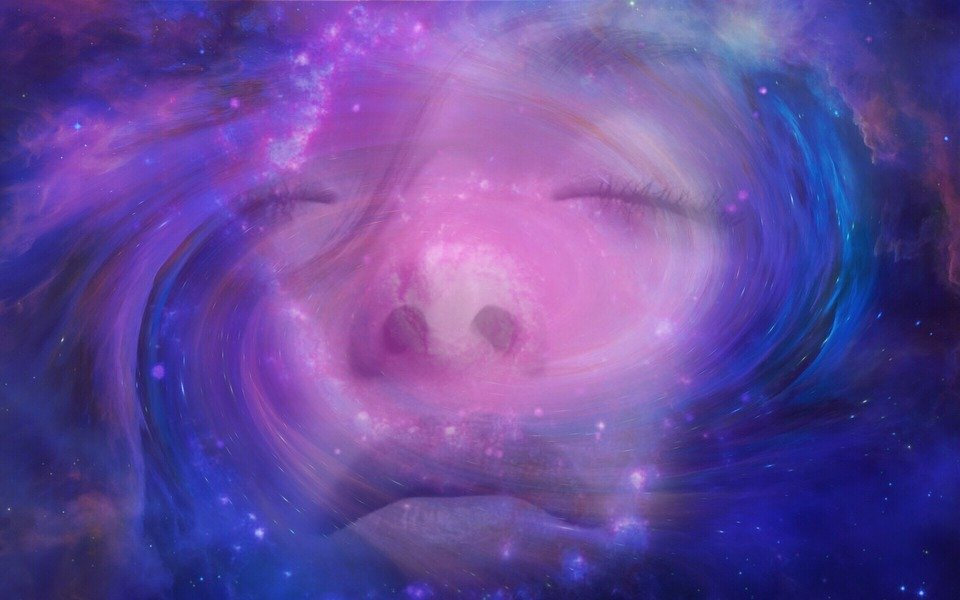image10.jpeg