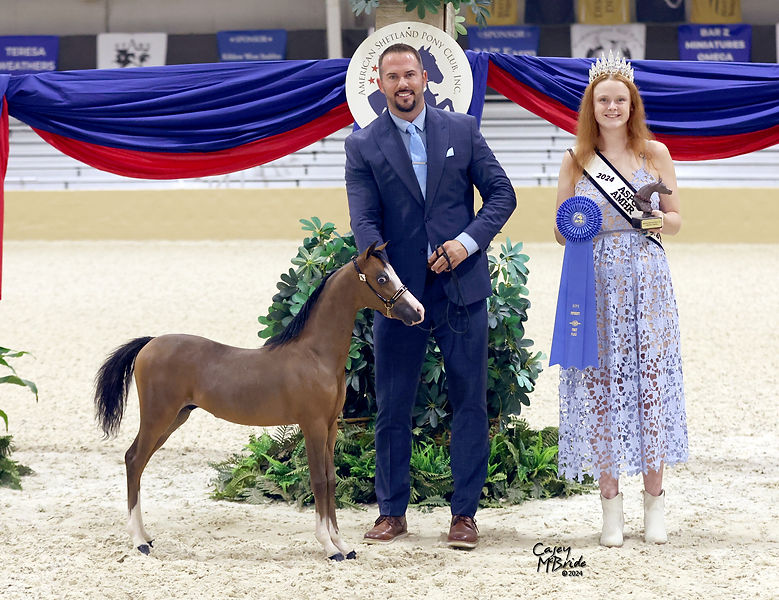 Lynyrd shetland congress 2024 win.jpg