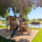 PXL_20250513_141936551