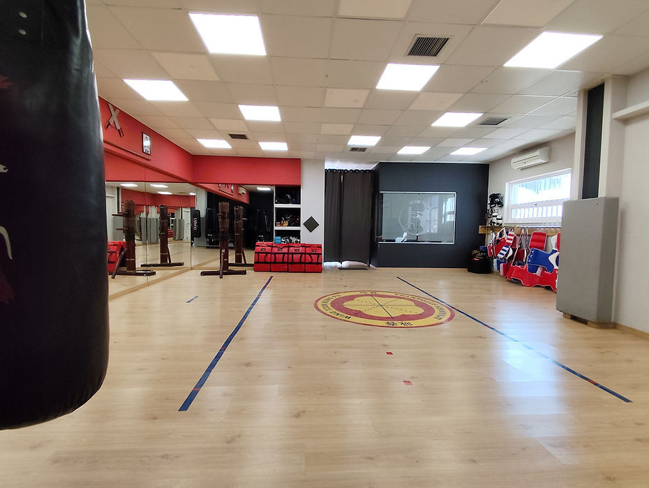 Σχολή Wing Tzun (Wing Chun)