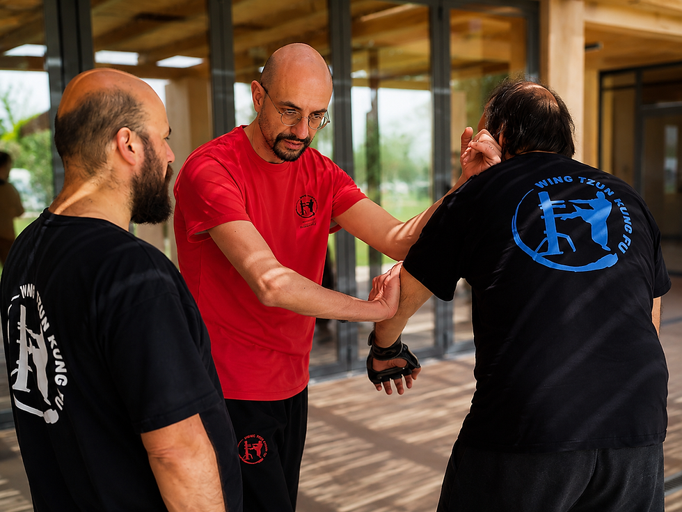 wing-tzun-instructor-guidance-agia-paraskevi-chalandri-athens.jpg