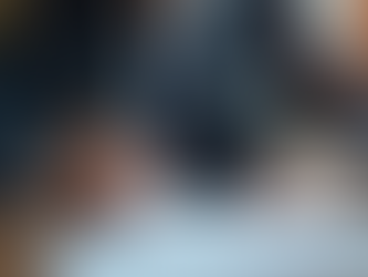 Professional Mobile Notary Services in Tampa Bay Area