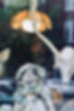 thumbnail (1).jfif
