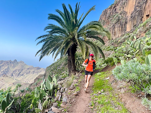 GR132 Around&across La Gomera 2023 (c) Laufcoachs.com_Palmentrail.jpeg
