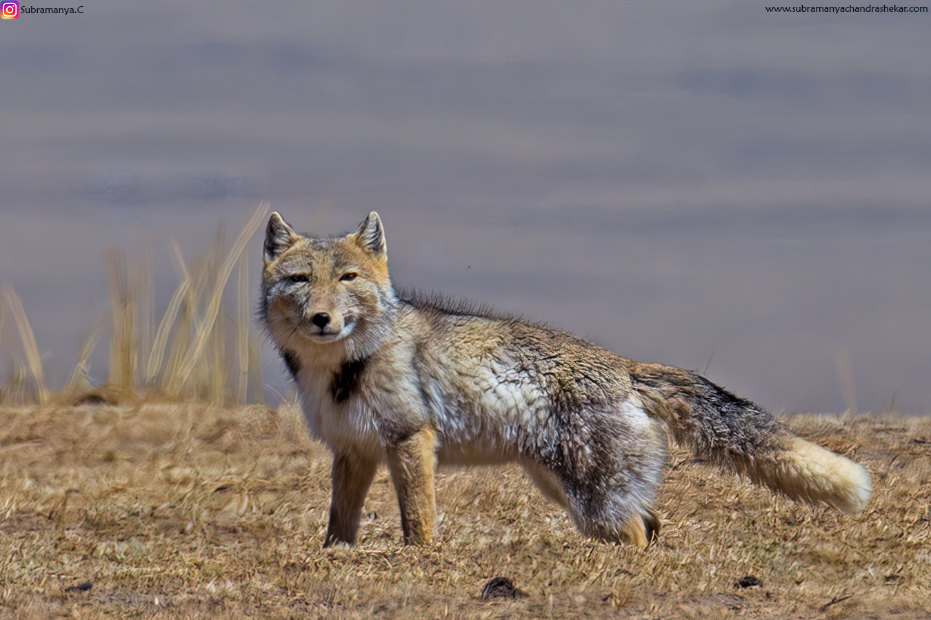 _SC07623-low_res-scale-2_00x_GP.jpg