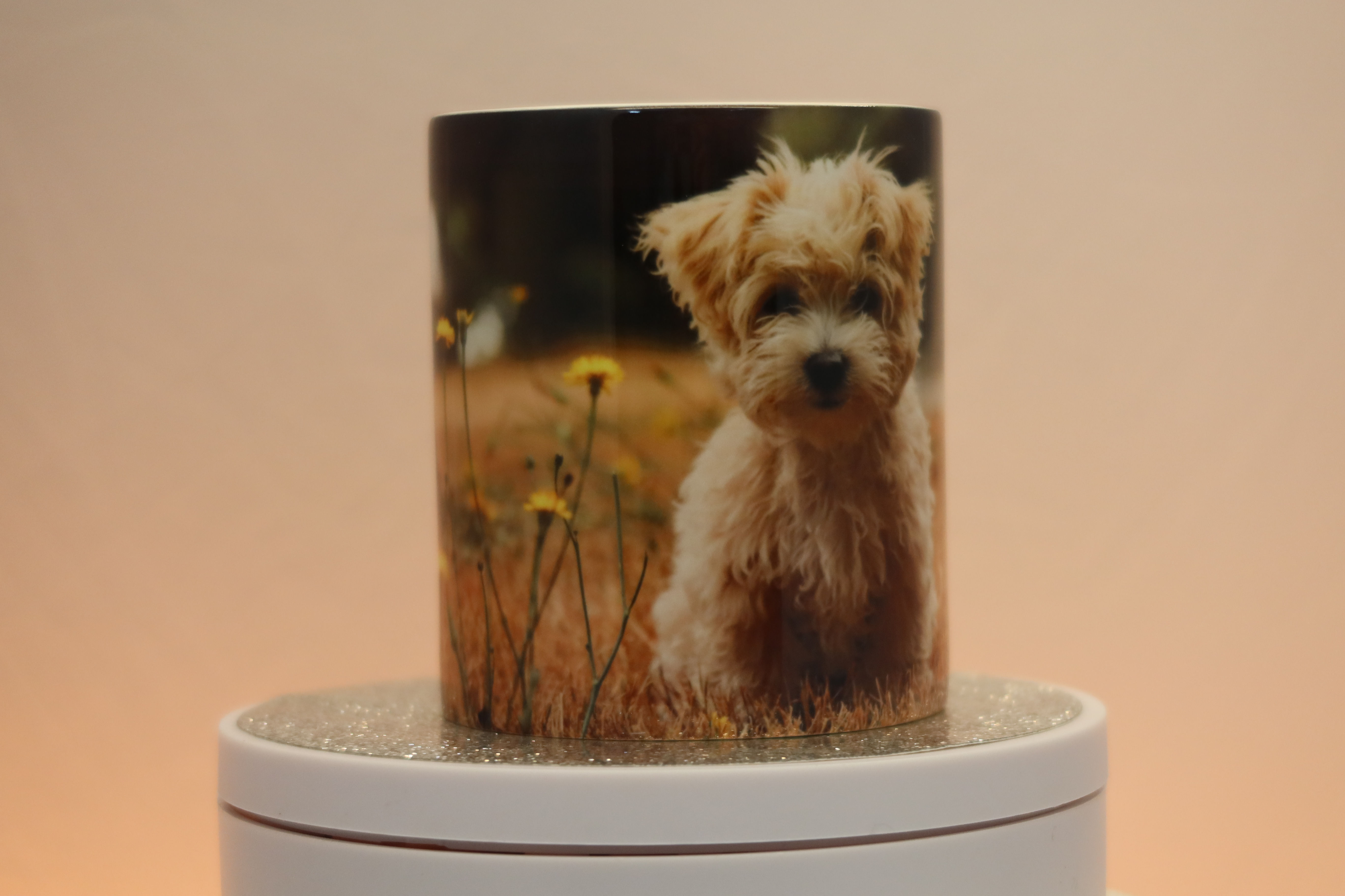 Personalised Pet Mug