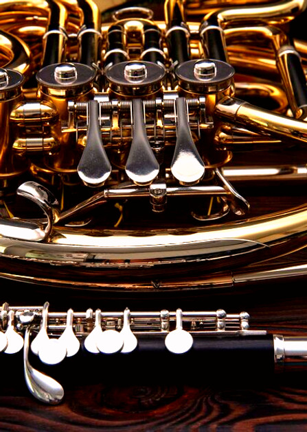 french-horn-flute_edited.jpg