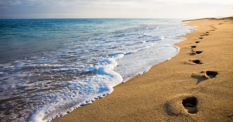 Footprints water.webp