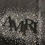 Thumbnail: Black Amiri diamond tee.     s,m,xl,