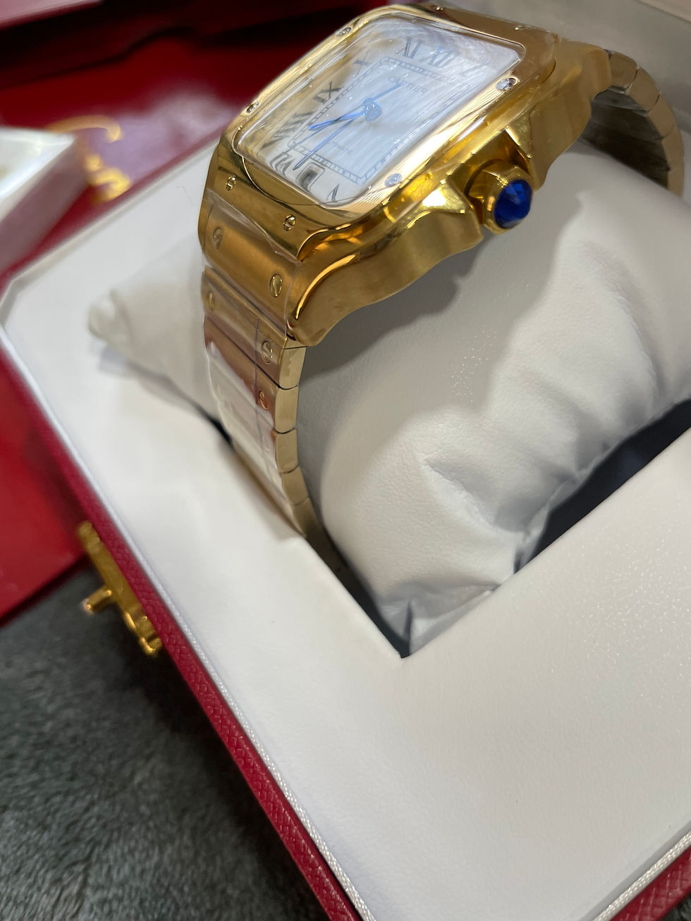 Thumbnail: cartier Santos. pick one