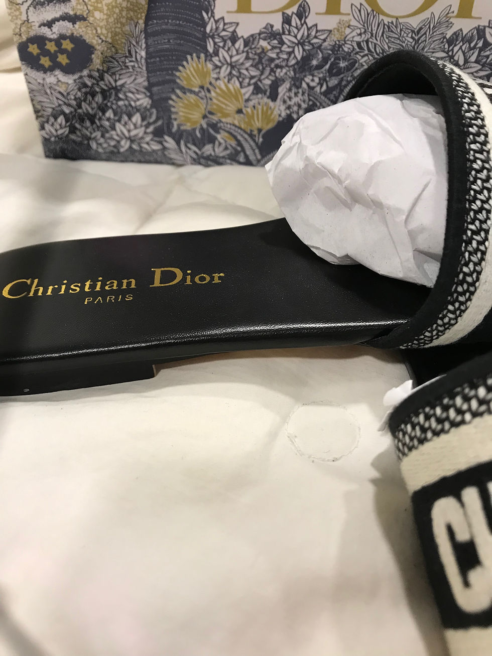 Thumbnail: Dior Shoes