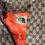 Thumbnail: North face Gucci jacket, back in stock.