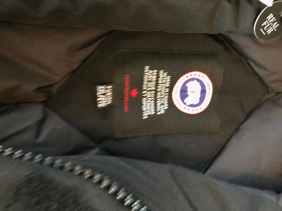 Thumbnail: Heavy Canada Goose coat.    s,m, only