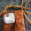 Thumbnail: Iphone 15 pro cover/wallet