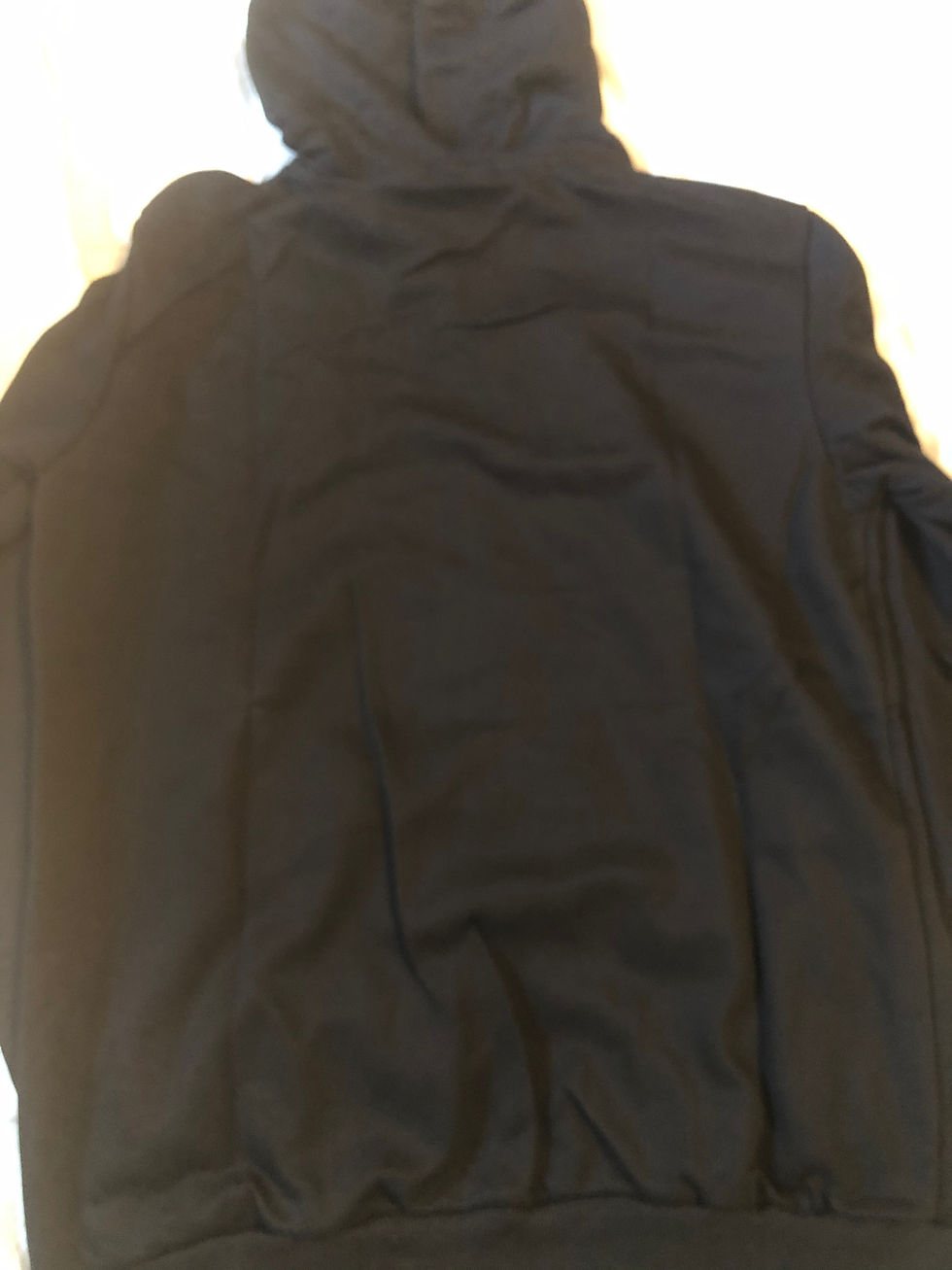 Thumbnail: Dior Hoodie