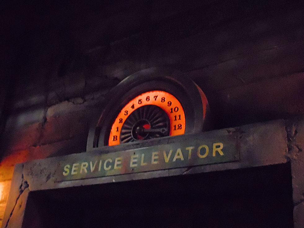 SAM_0796_Fotor.jpg