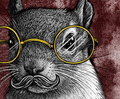 Squirrel (1)_edited.png