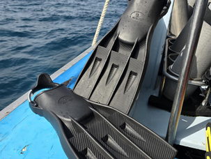 Karasu Jet Fins ฟินทางเลือกใหม่ เหมาะสำหรับทุกคนจริงๆ