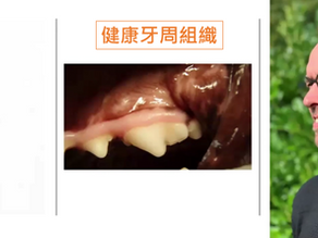 牙齦病變