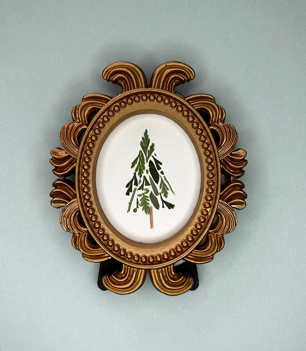 Mini Evergreen Cluster Design in Decorative Frame Original