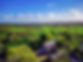 countryside shot.jpg