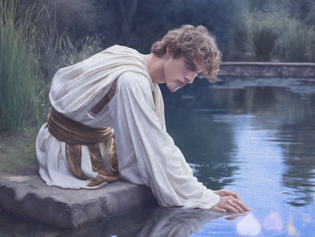My Narcissus